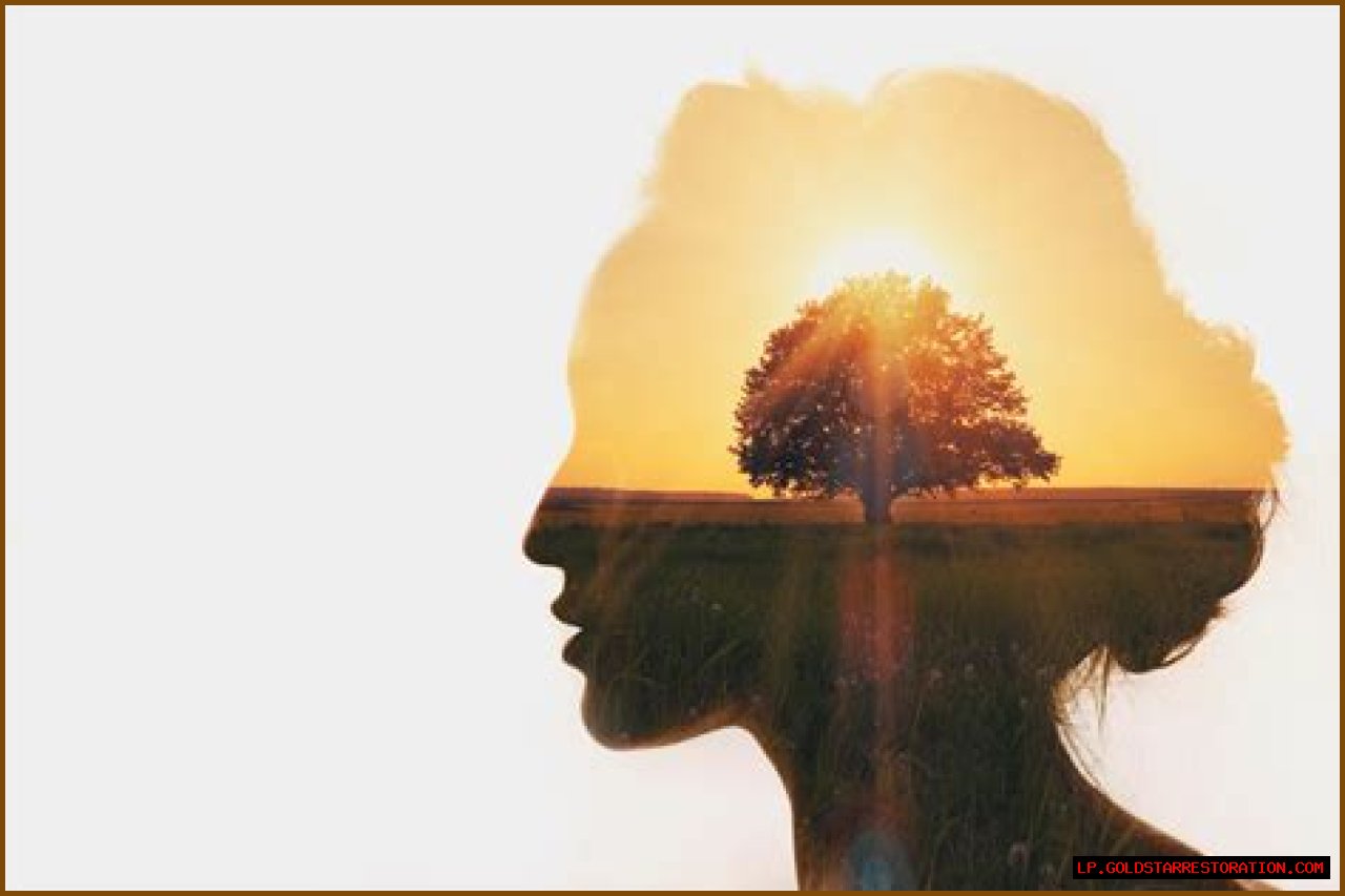 A Journey Of Discovery And Insight