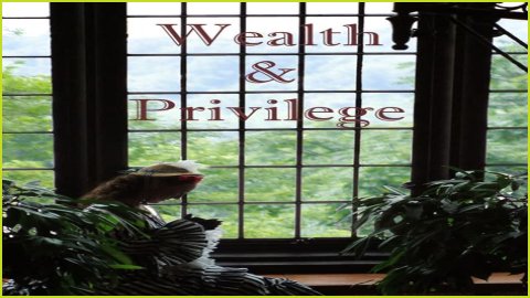 A Journey Of Wealth, Privilege, And Legacy